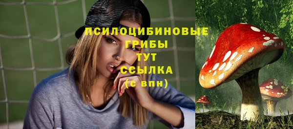 мяу мяу мука Кулебаки