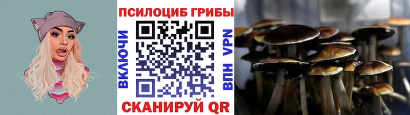 Псилоцибиновые грибы Psilocybe Ессентукская